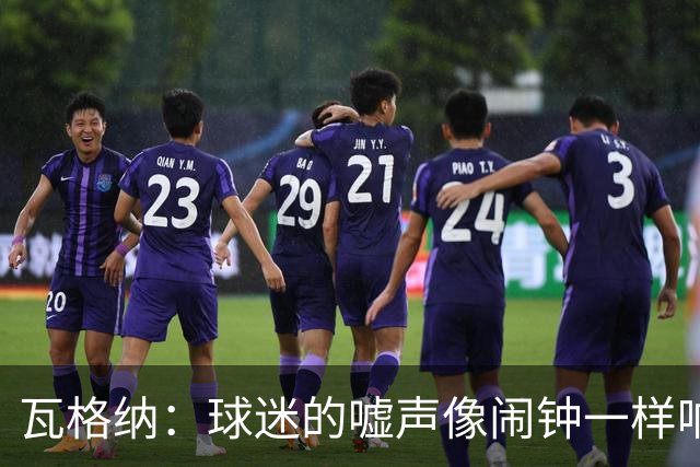 瓦格纳：球迷的嘘声像闹钟一样响，德国杯给我们一次翻身的机会