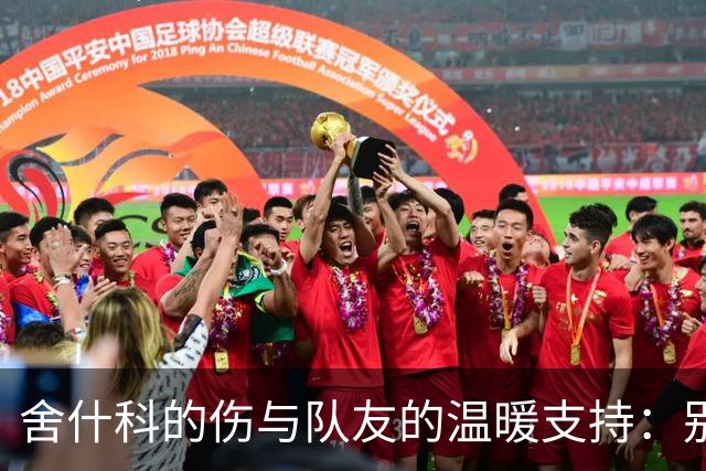 舍什科的伤与队友的温暖支持：别怕外界的流言蜚语！