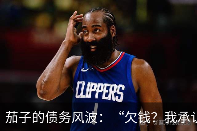 茄子的债务风波：“欠钱？我承认了！