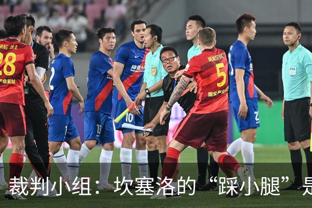 裁判小组：坎塞洛的“踩小腿”是黄牌的好候选